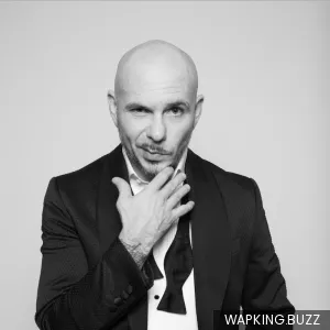 Pitbull