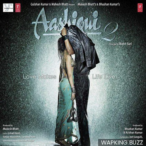 Aashiqui 2 (2013)