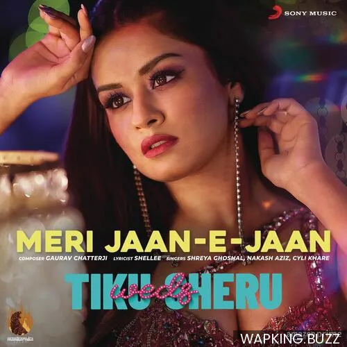 Meri Jaan E Jaan