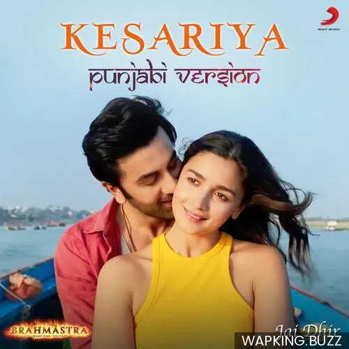 Kesariya Punjabi Version