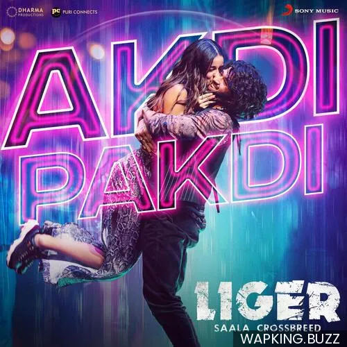 Akdi Pakdi Hindi