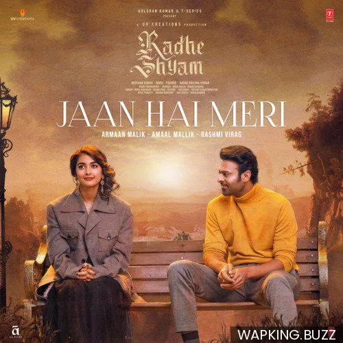 Jaan Hai Meri