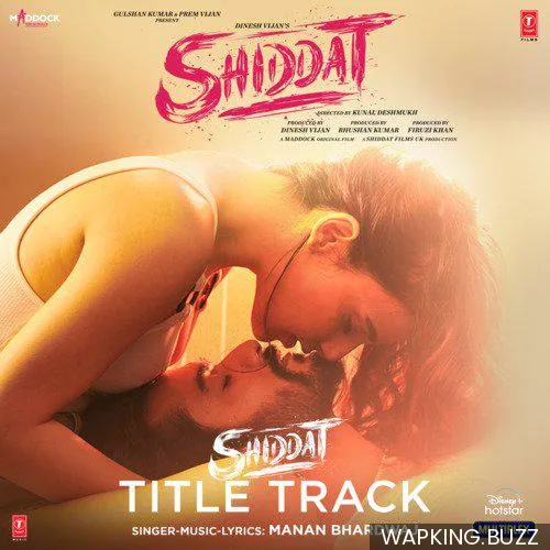Shiddat Title Track