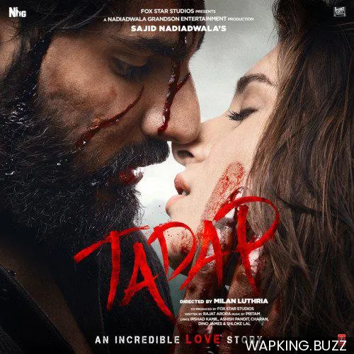 Tu Mera Hogaya Hai Encore