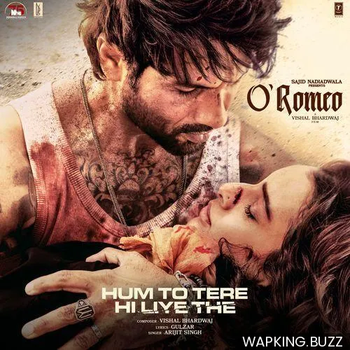 Hum To Tere Hi Liye The
