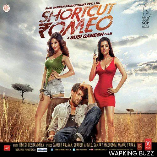 Short Cut Romeo Mashup By Kiran Kamath