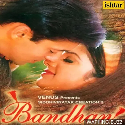 Bandhan Title Song