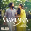 Naamumkin