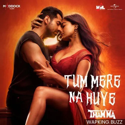 Tum Mere Na Huye