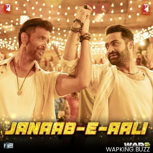 Janaab E Aali